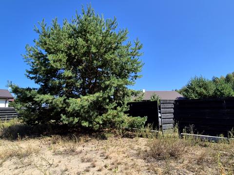 дом по адресу Ялинкова