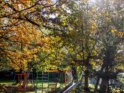 квартира за адресою Княгині Ольги вул., 15