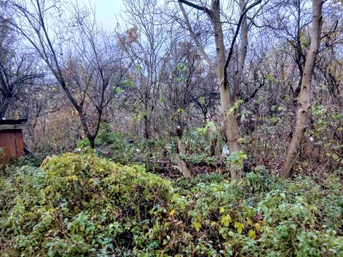 ділянка за адресою Академіка Кащенка вул.