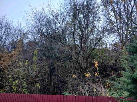 ділянка за адресою Академіка Кащенка вул.