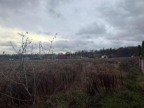 участок по адресу с. Гора, 