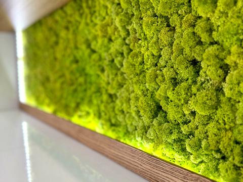 квартира за адресою Практична вул., 3