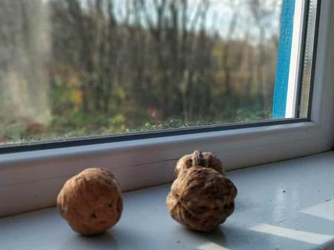 будинок за адресою Кар'єрна