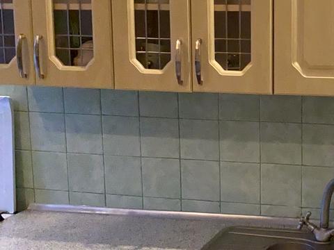 квартира за адресою Пластова вул. (Івана Сергієнка), 17