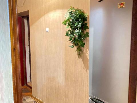 квартира за адресою Пластова вул. (Івана Сергієнка), 17