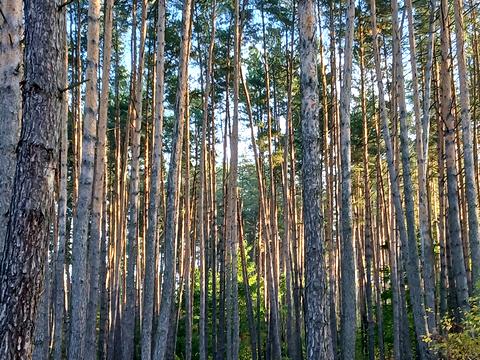 будинок за адресою Кар'єрна