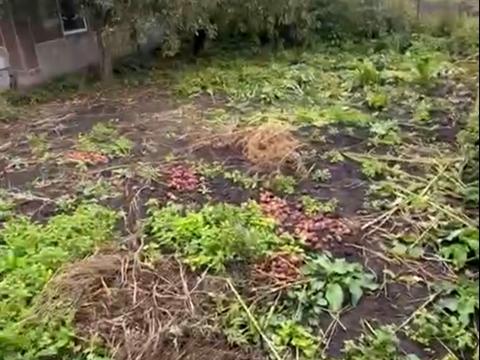 дом по адресу Суворова, 6