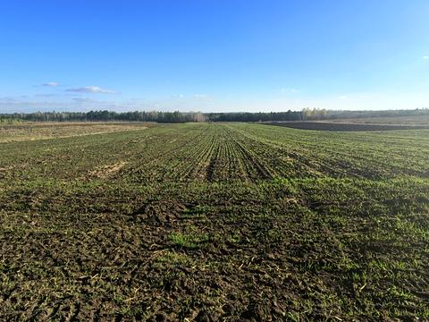 участок по адресу Головна