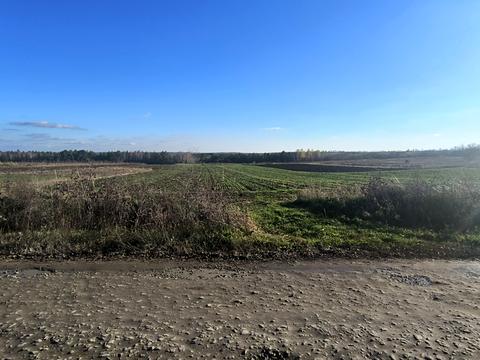 участок по адресу Головна