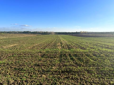 участок по адресу Головна