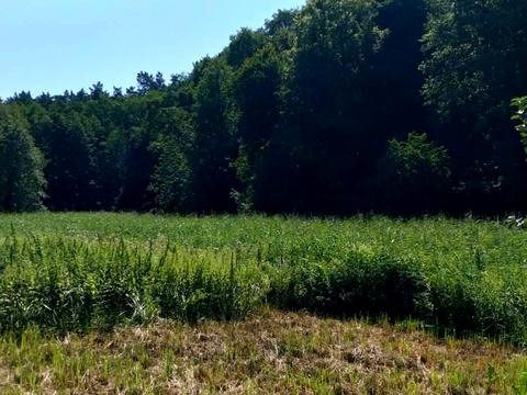 участок по адресу Київська, 10