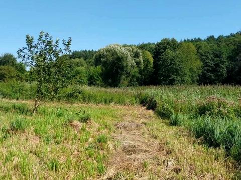 участок по адресу Київська, 10