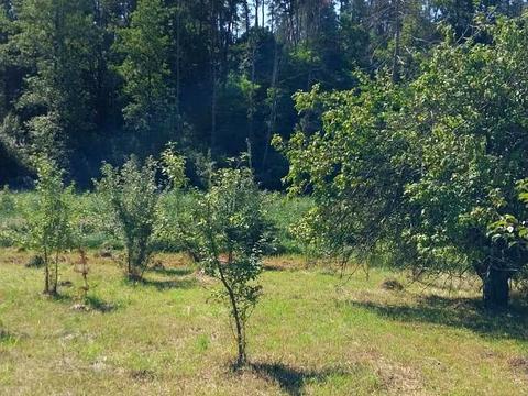 участок по адресу Київська, 10