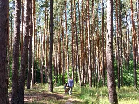 участок по адресу Київська, 10