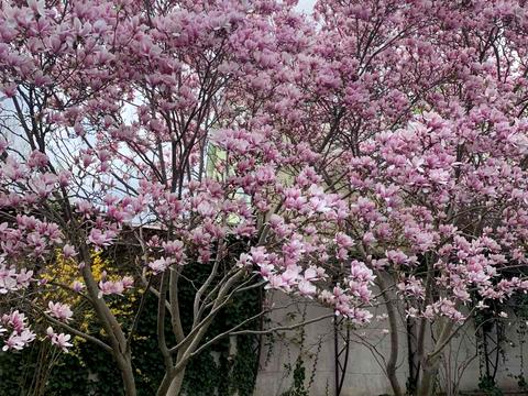 будинок за адресою Баштанная, 6