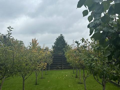 будинок за адресою Шевченка вул.