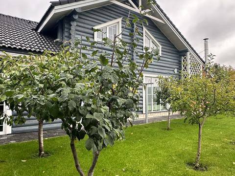 будинок за адресою Шевченка вул.