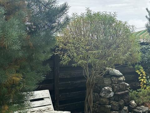 будинок за адресою Шевченка вул.