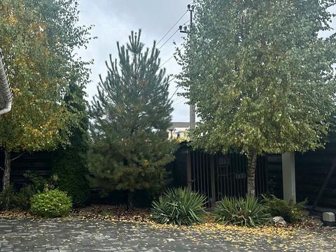 будинок за адресою Шевченка вул.