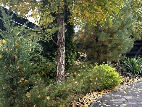 будинок за адресою Шевченка вул.