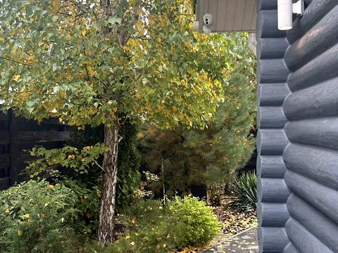 будинок за адресою Шевченка вул.