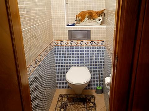 квартира по адресу Леся Курбаса просп., 1-Б