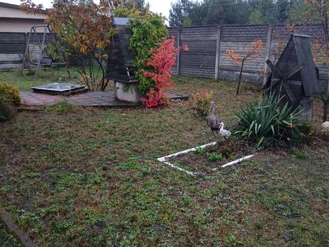 дом по адресу Гоголя