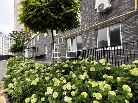 квартира за адресою Соборна вул., 2к/45