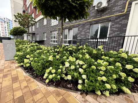 квартира за адресою Соборна вул., 2к/45