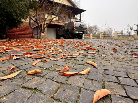 дом по адресу Кошицкая ул.