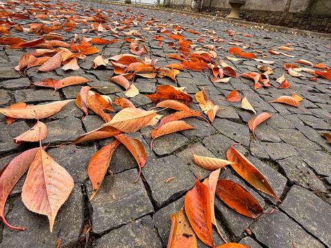 дом по адресу Кошицкая ул.