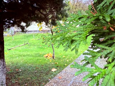 дом по адресу Кошицкая ул.