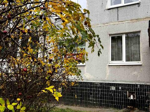 квартира по адресу Академика Павлова ул., 313б