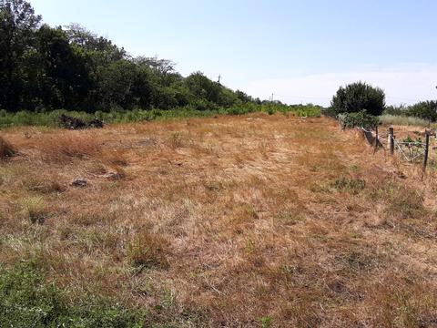 ділянка за адресою с. Дачне, Ломоносова, 26