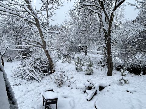 дом по адресу авіаційна