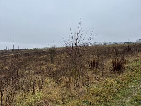 ділянка за адресою Центральна вул.