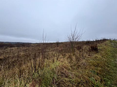 ділянка за адресою Центральна вул.