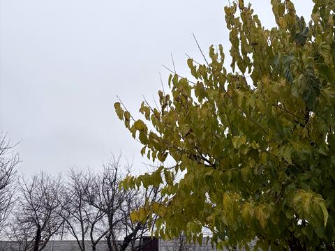 дом по адресу Минусинская ул. (Мінусинська), 344