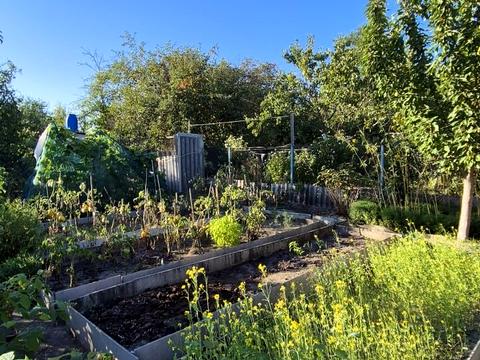 дом по адресу мрія