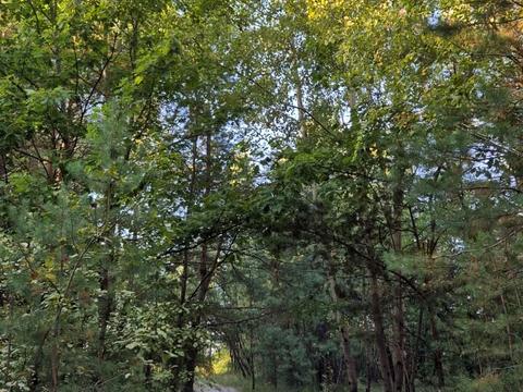 дом по адресу мрія