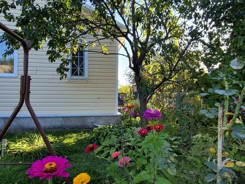 дом по адресу мрія