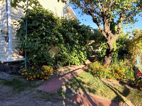 дом по адресу мрія