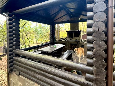 будинок за адресою Гагаріна