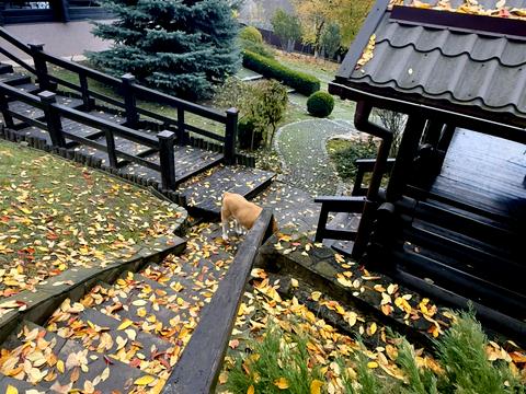 будинок за адресою Гагаріна