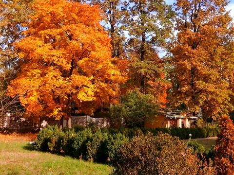 дом по адресу Антония Михайловского ул.