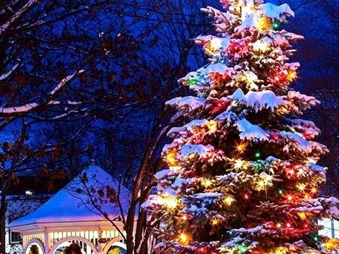 будинок за адресою Степова вул.