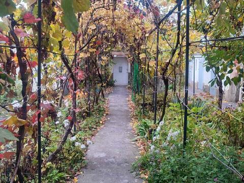 комната по адресу Толбухина ул. (Толбухина), 3а