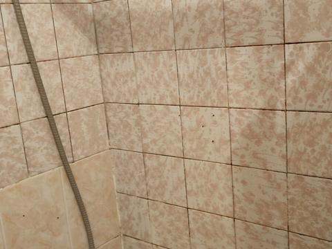 квартира за адресою Олени Теліги вул., 57