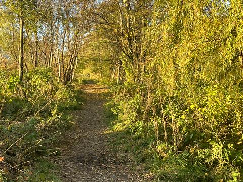 квартира по адресу Академика Янгеля ул. (Фрунзе), 58