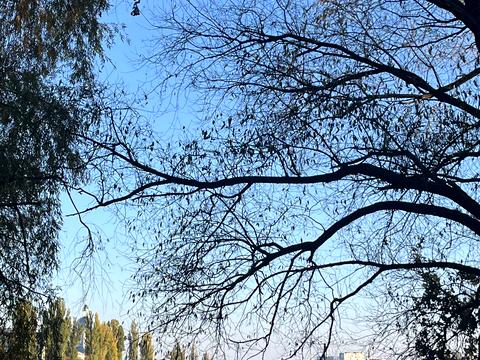 квартира по адресу Академика Янгеля ул. (Фрунзе), 58